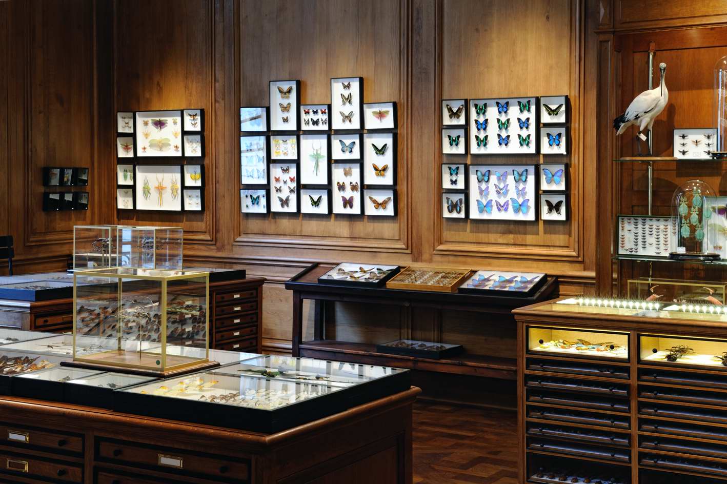 Découvrez les lieux les plus secrets et énigmatiques de la capitale